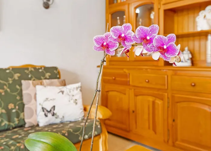 Casa Alegria 2 Lejlighed Maspalomas (Gran Canaria)